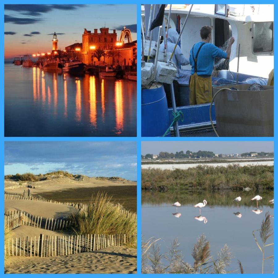 Appartement T2, 7 Jours Minimum, Climatise, 3 Etoiles, 40M2 ,Parking Prive, Mer 300M, Wifi, Piscines, Tres Propre, Ascenseurs, En Etage ル・グロー・デュ・ロワ エクステリア 写真